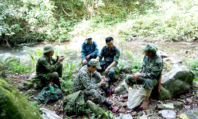 Ứng dụng khoa học công nghệ trong quản lý, bảo vệ rừng