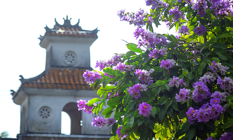 Quảng Bình muôn vẻ