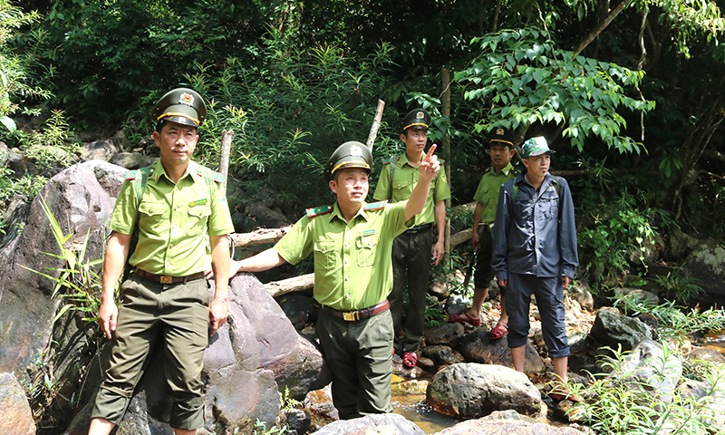 "Canh lửa" ở Vườn Quốc gia