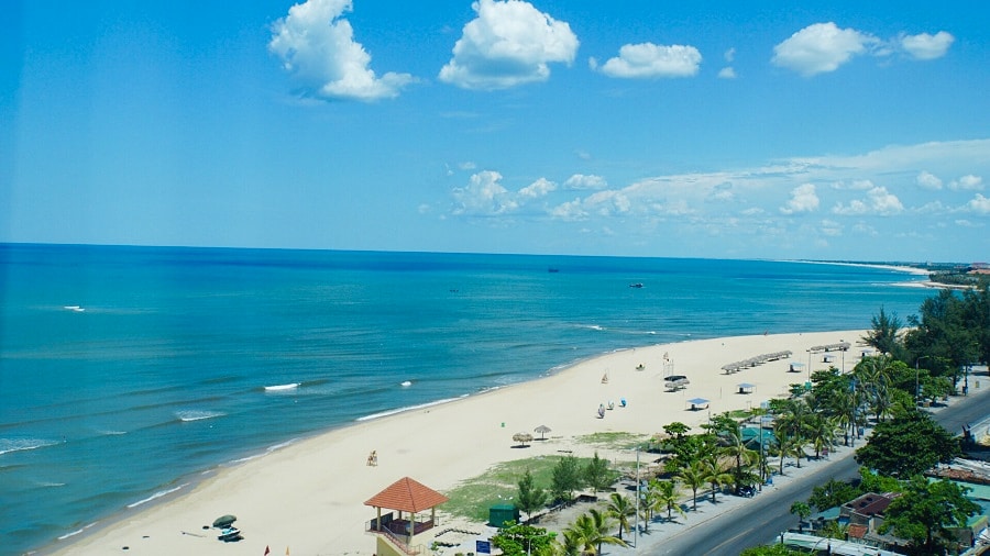 Ngôi sao biển vĩnh hằng!