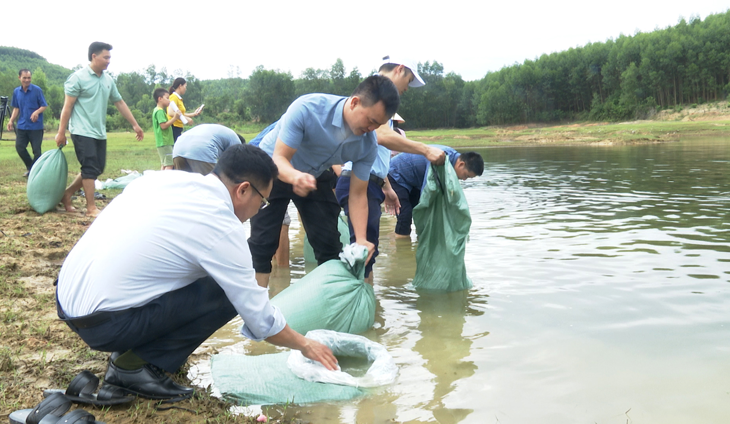Bố Trạch: Thả gần 24.000 con cá giống tái tạo nguồn lợi thủy sản