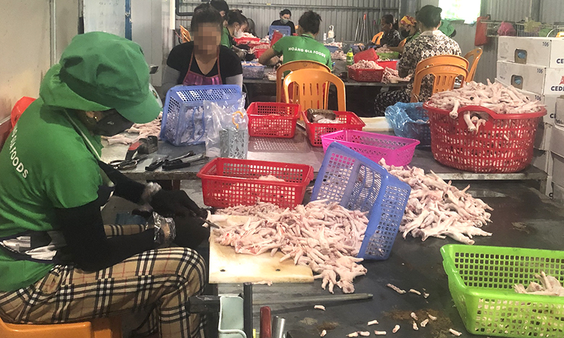 Phát hiện khoảng 3 tấn sản phẩm gà đông lạnh không rõ nguồn gốc