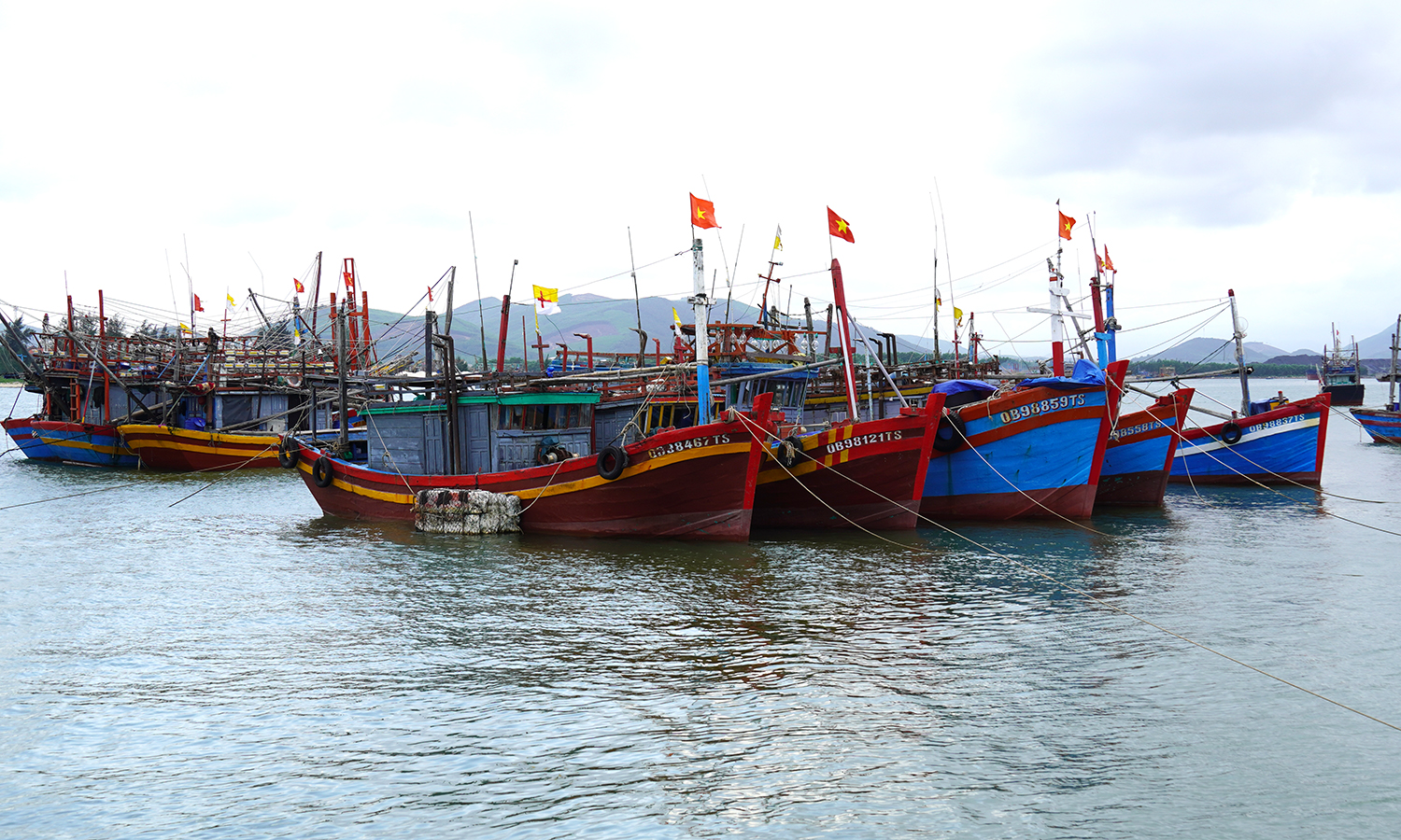 Quản lý tàu cá từ cơ sở