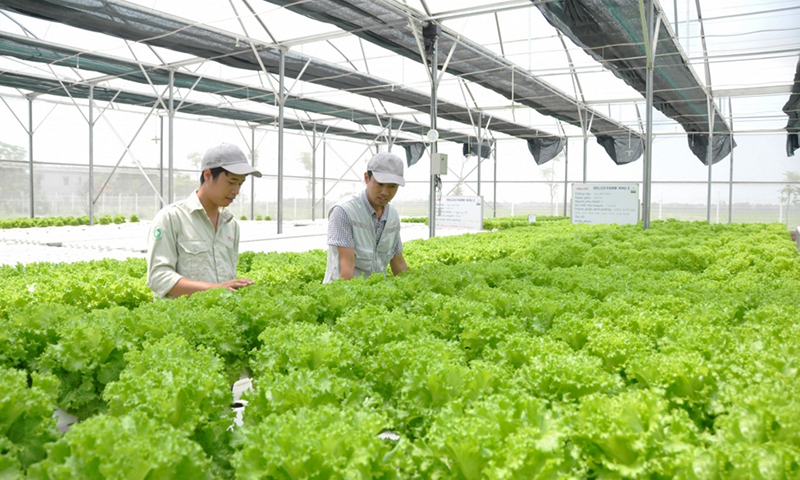 Đổi mới, nâng cao chất lượng hoạt động của Hội Nông dân Việt Nam