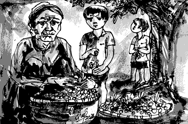 Tháng sáu buôn nhãn bán trăm