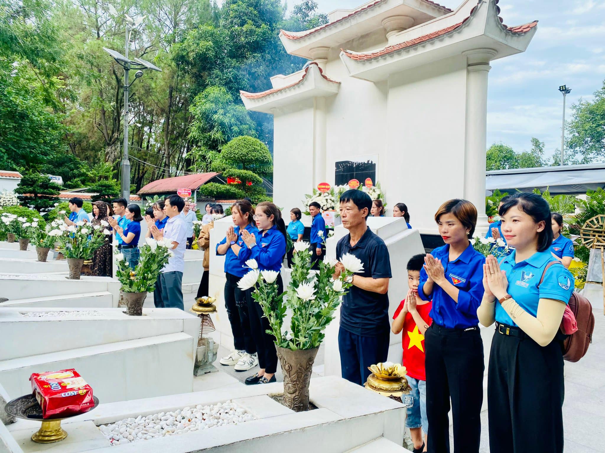 Hoa cúc trên nghĩa trang
