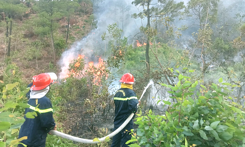 Lại xảy ra cháy rừng tại xã Quảng Đông