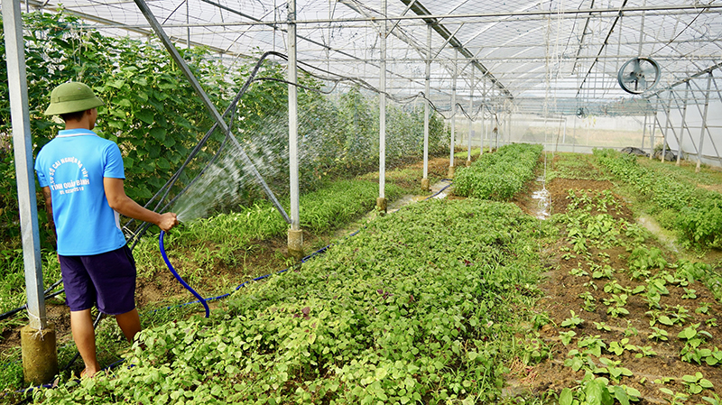 Chông chênh nẻo về-Bài 2: Nới rộng "khe cửa hẹp"