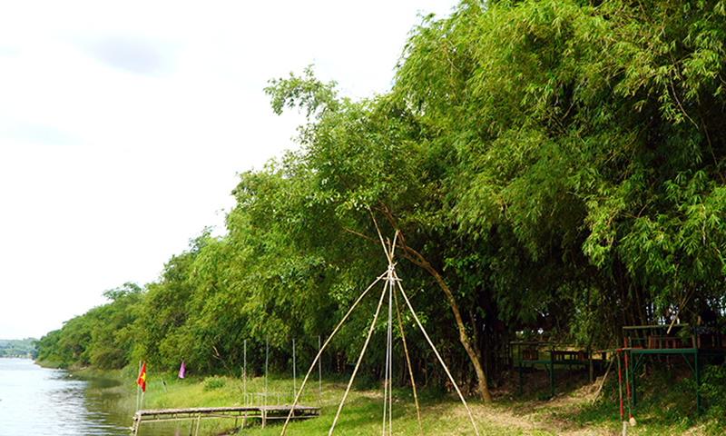 Chuyện "pháo đài xanh" ở Hưng Trạch