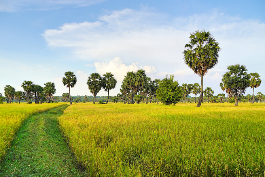 Lời yêu thương