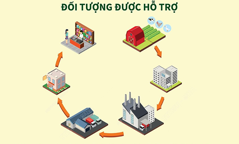 Ba chính sách hỗ trợ phát triển ngành chăn nuôi từ ngày 20/9/2024