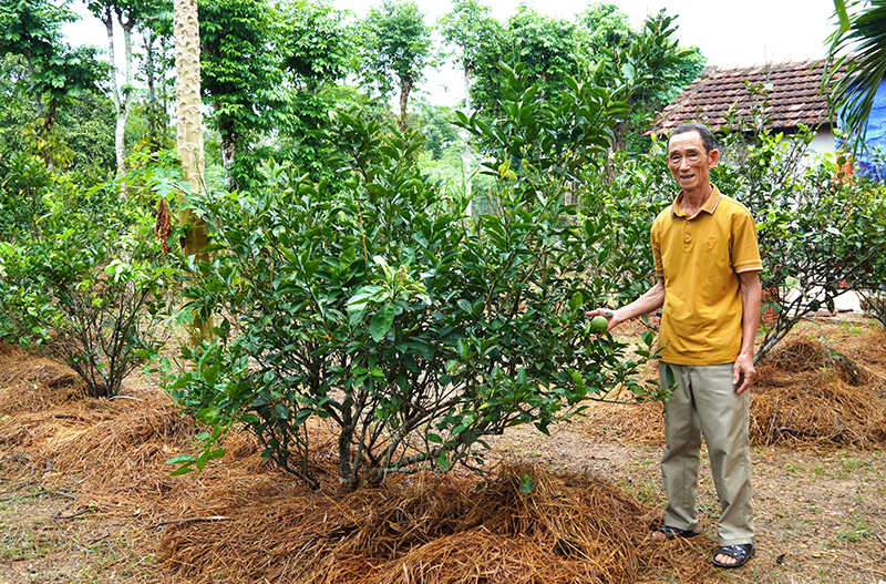 Xây dựng vườn mẫu: Cơ hội và thách thức