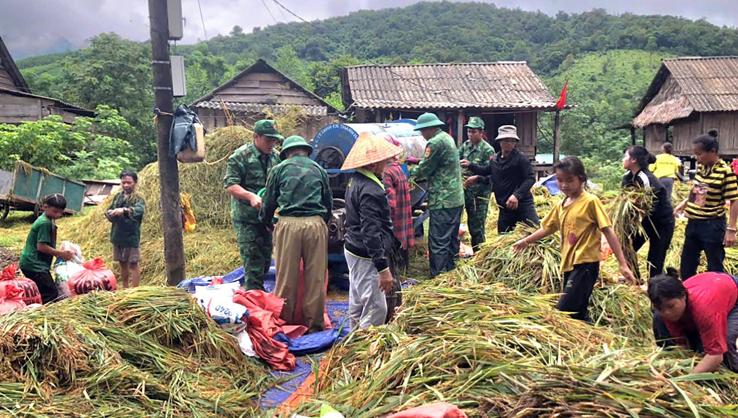 Năng suất lúa nước bản K-Ai đạt gần 4,5 tấn/ha