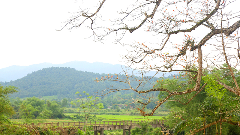 Máng Cây Gạo