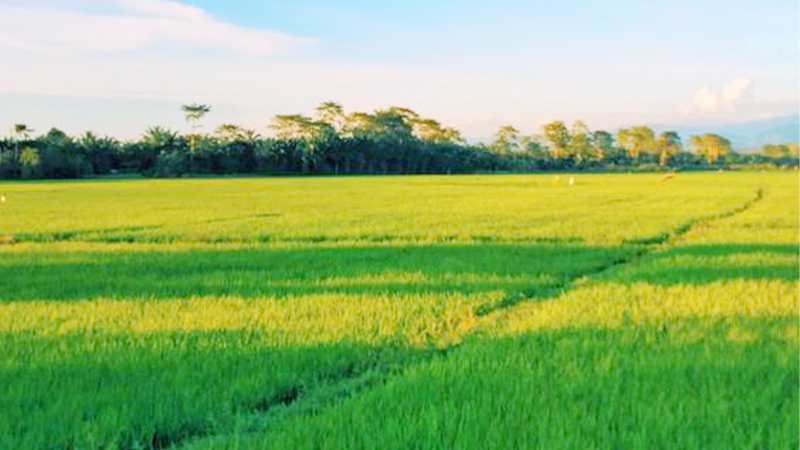 Tháng chín