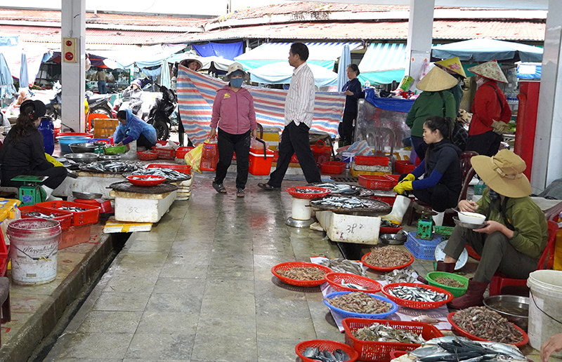 TP. Đồng Hới: Đẩy mạnh hoạt động khai thác thủy sản