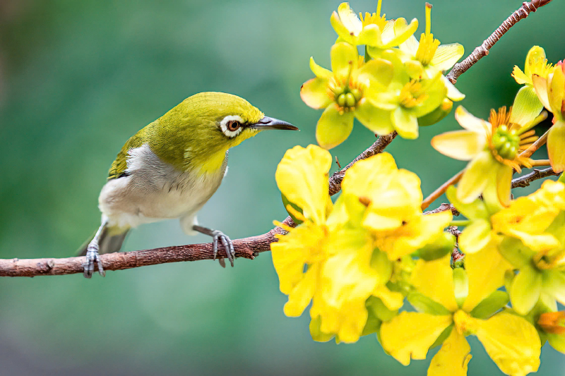 Quảng Bình muôn vẻ