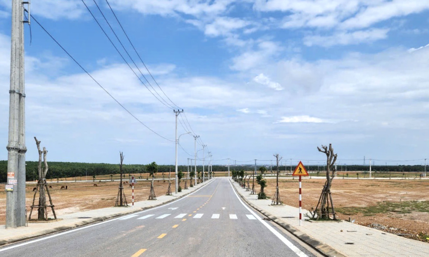 "Trải thảm" đón nhà đầu tư