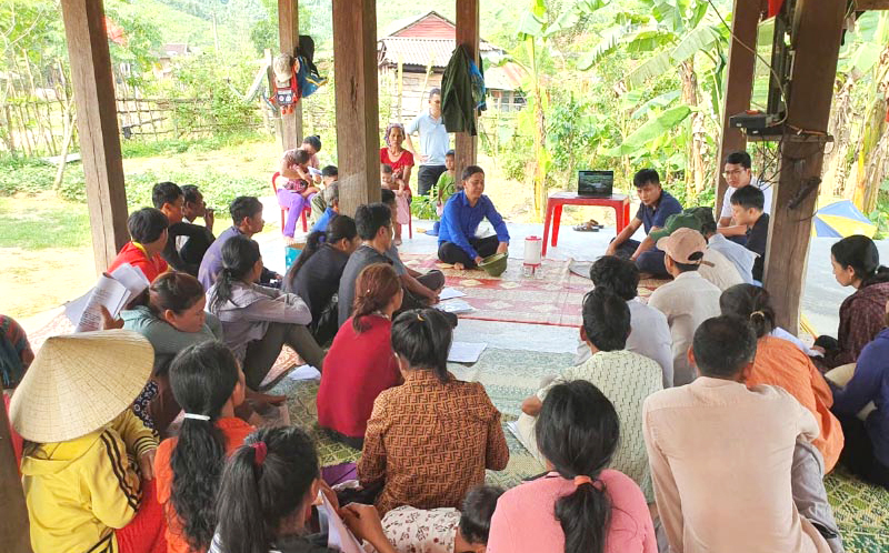 Để gây dựng những cánh rừng đạt chuẩn