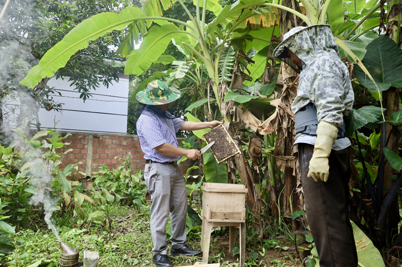 Hơn 3.000 lao động được hỗ trợ vay vốn giải quyết việc làm