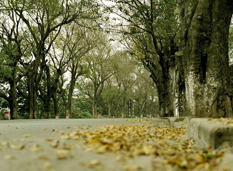 Mùa gió cuối năm…