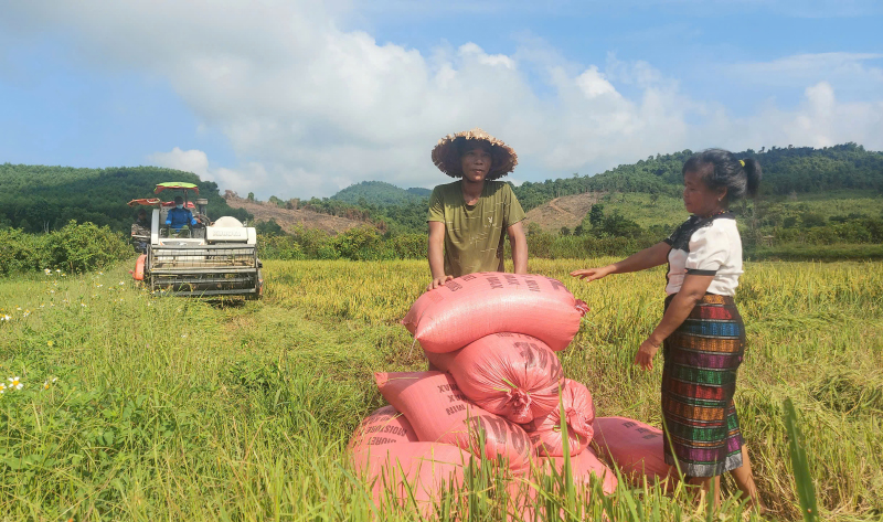 Những lá đơn xin thoát nghèo từ bản Cà Xen