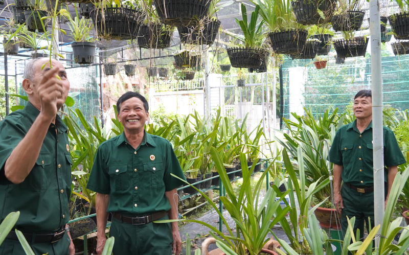 Người lính Vị Xuyên