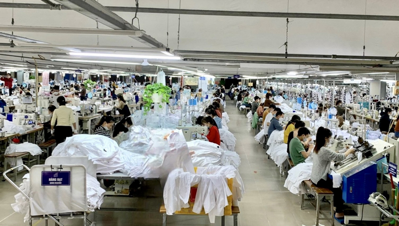 Hơn 2.500 đơn vị sử dụng lao động chậm đóng BHXH