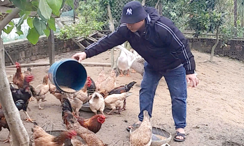 Quảng Ninh: Để người chấp hành xong án phạt tù tái hòa nhập cộng đồng