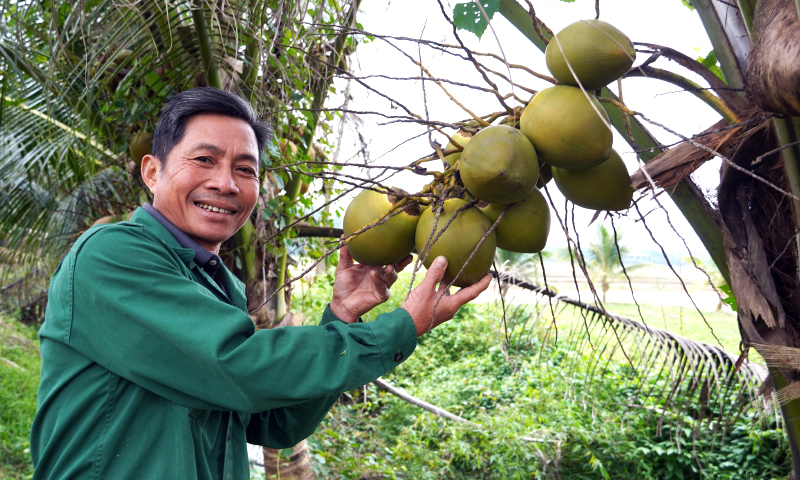 Thu tiền tỷ từ trang trại tổng hợp