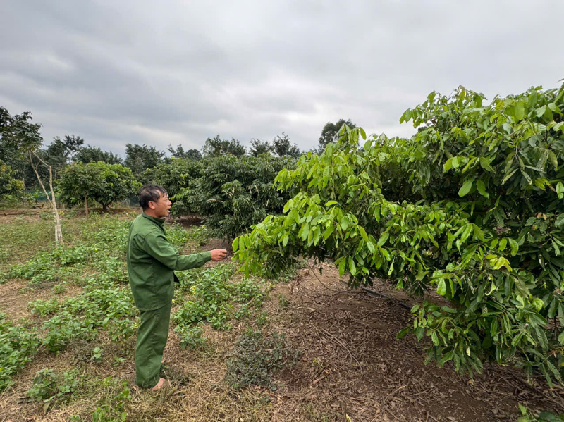 Khát vọng từ vùng đất khó
