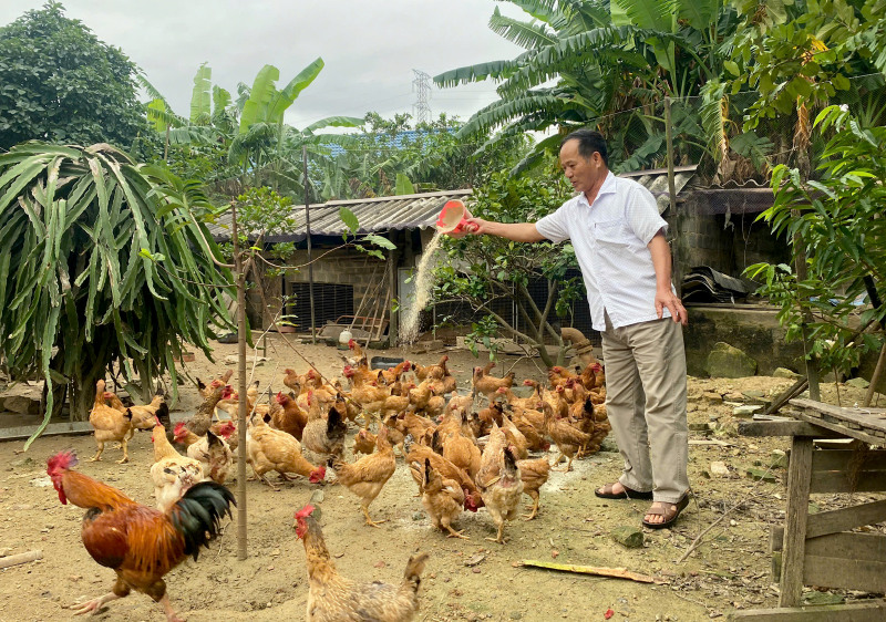 Tạo việc làm, tăng thu nhập nhờ nguồn vốn chính sách