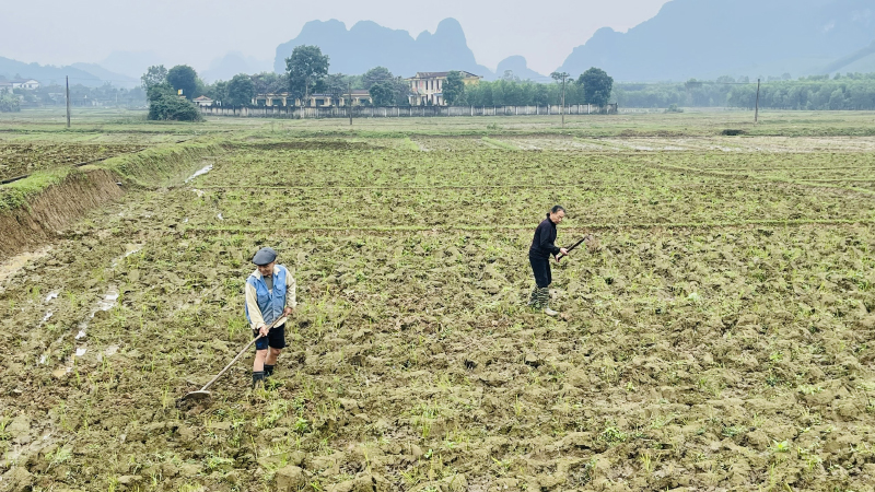 Minh Hoá: Sẵn sàng cho sản xuất vụ đông-xuân thắng lợi