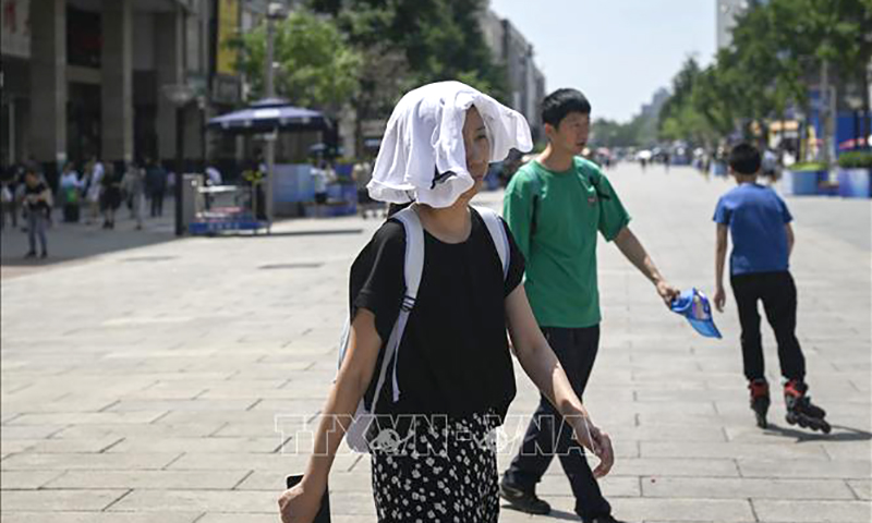 WMO cảnh báo khẩn về khí hậu toàn cầu