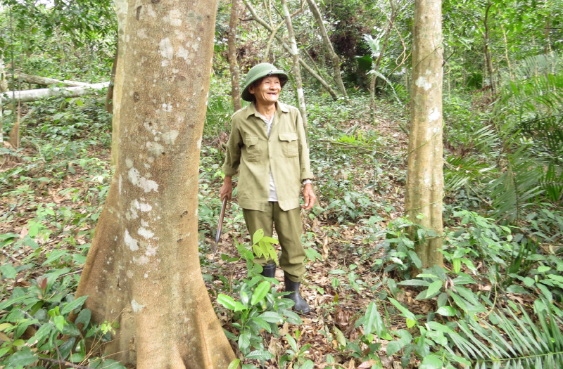 Tuổi 80 vẫn gắn bó với rừng