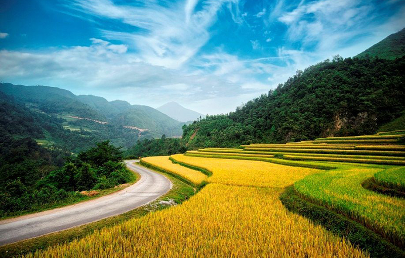 Hướng nào cũng từ tim anh