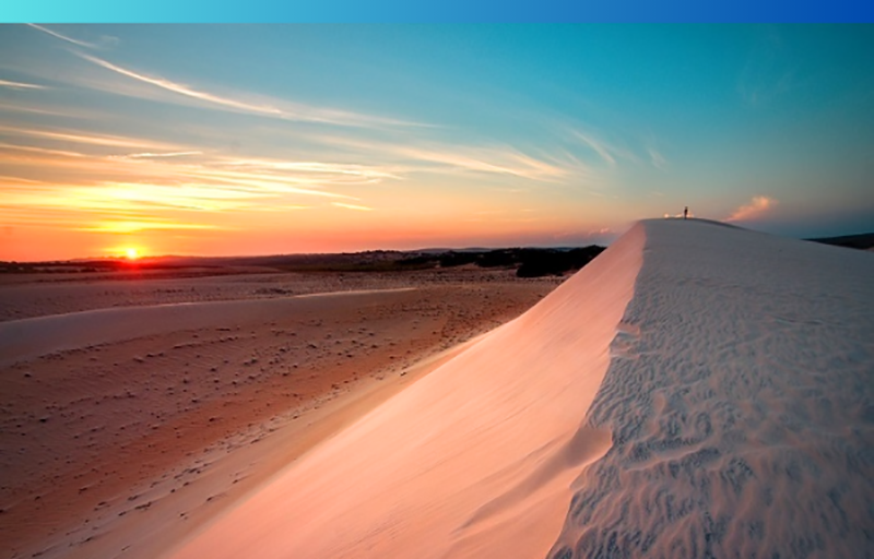 Tiếng hát trên đồi cát