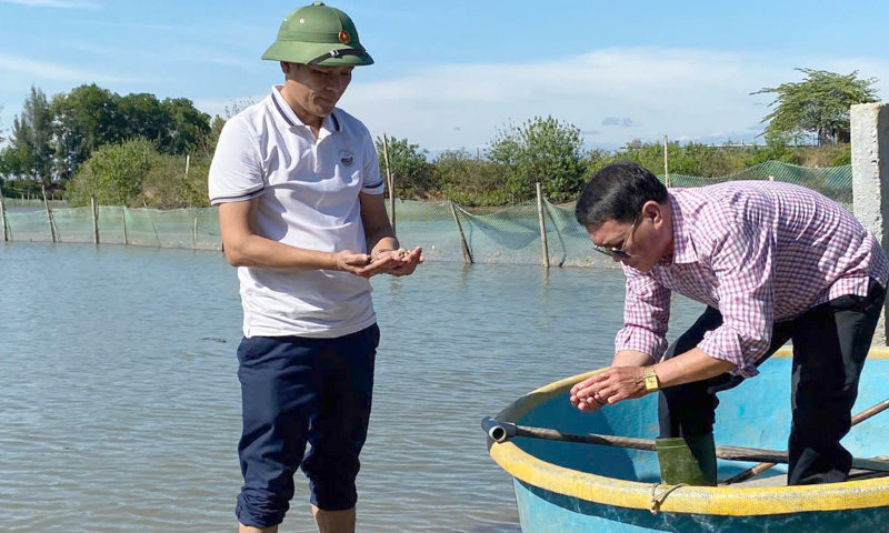 Phát huy hiệu quả các mô hình nông nghiệp