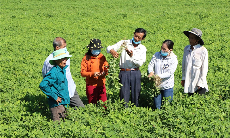 Quy định mức hỗ trợ đào tạo, chuyển đổi nghề và tìm kiếm việc làm cho người có đất thu hồi