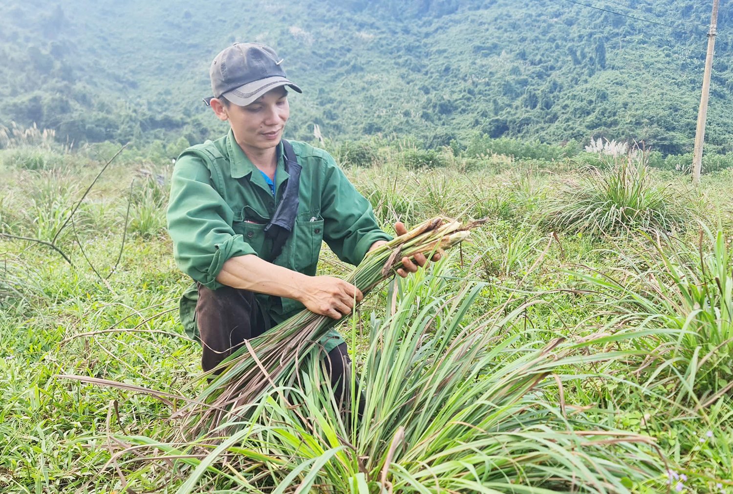 Hơn 3.400 hội viên nông dân được hỗ trợ vay vốn phát triển kinh tế