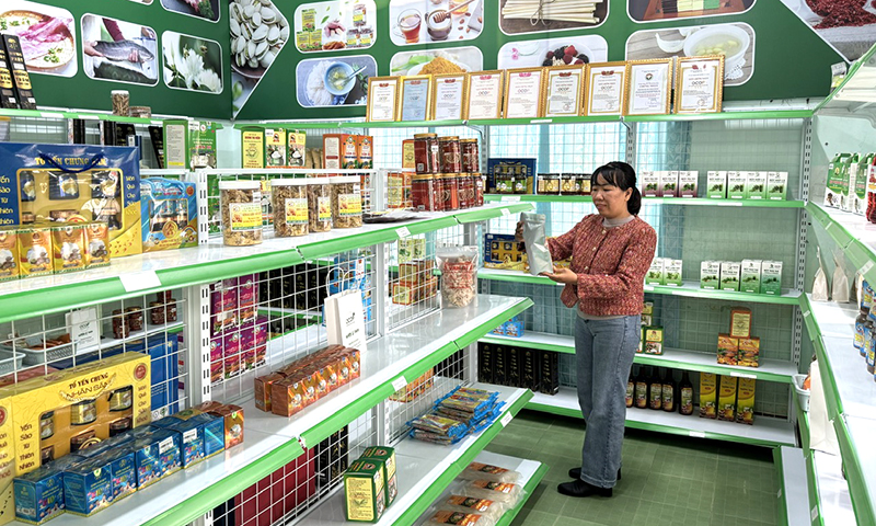 Lệ Thủy: Hướng đến phát triển du lịch tham quan, trải nghiệm tại cộng đồng