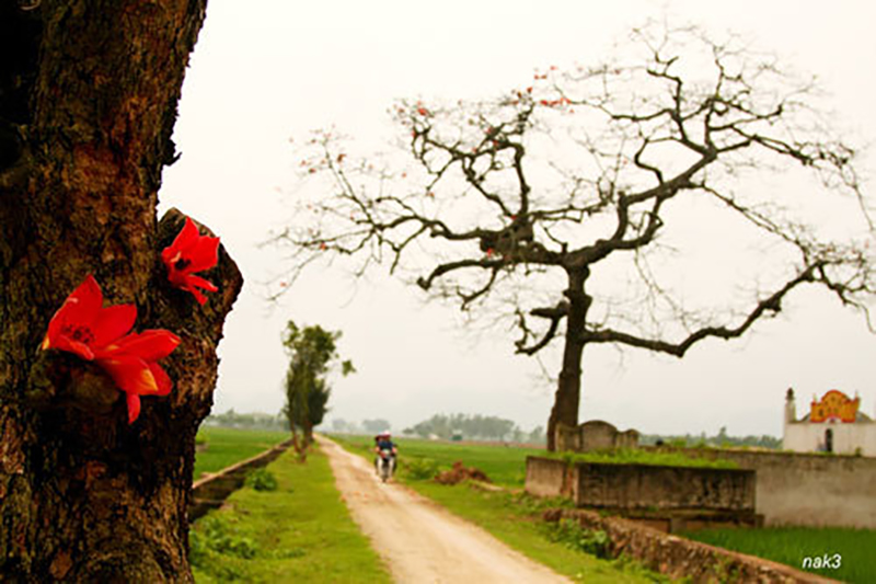 Tháng ba của mẹ