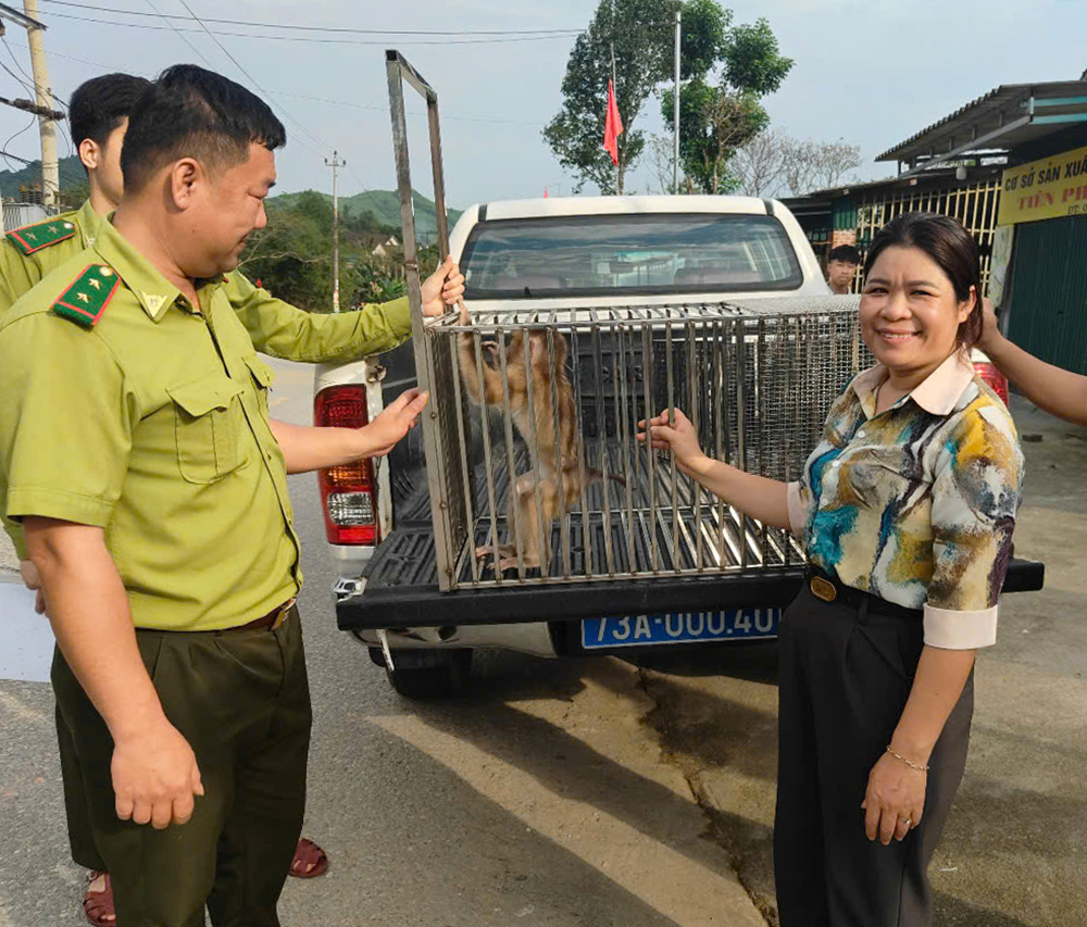 Tiếp nhận các cá thể động vật hoang dã để cứu hộ
