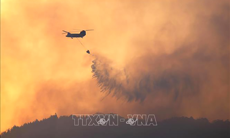 Cháy rừng lan rộng tại Nhật Bản, sơ tán gần 2.800 người