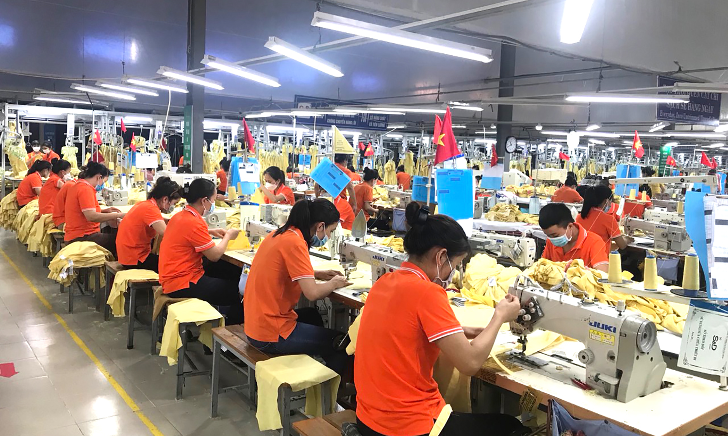 Chỉ thị của Thủ tướng Chính phủ về thúc đẩy phát triển doanh nghiệp nhỏ và vừa