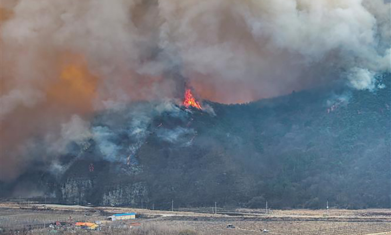Hàn Quốc huy động mọi nguồn lực để khống chế thảm họa cháy rừng lịch sử