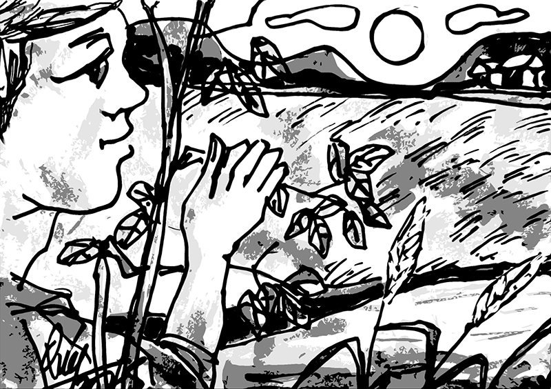 Hương đồng nội