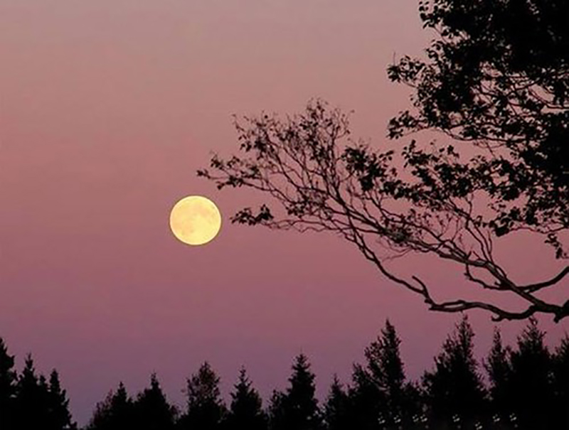 Anh chỉ nhớ là...