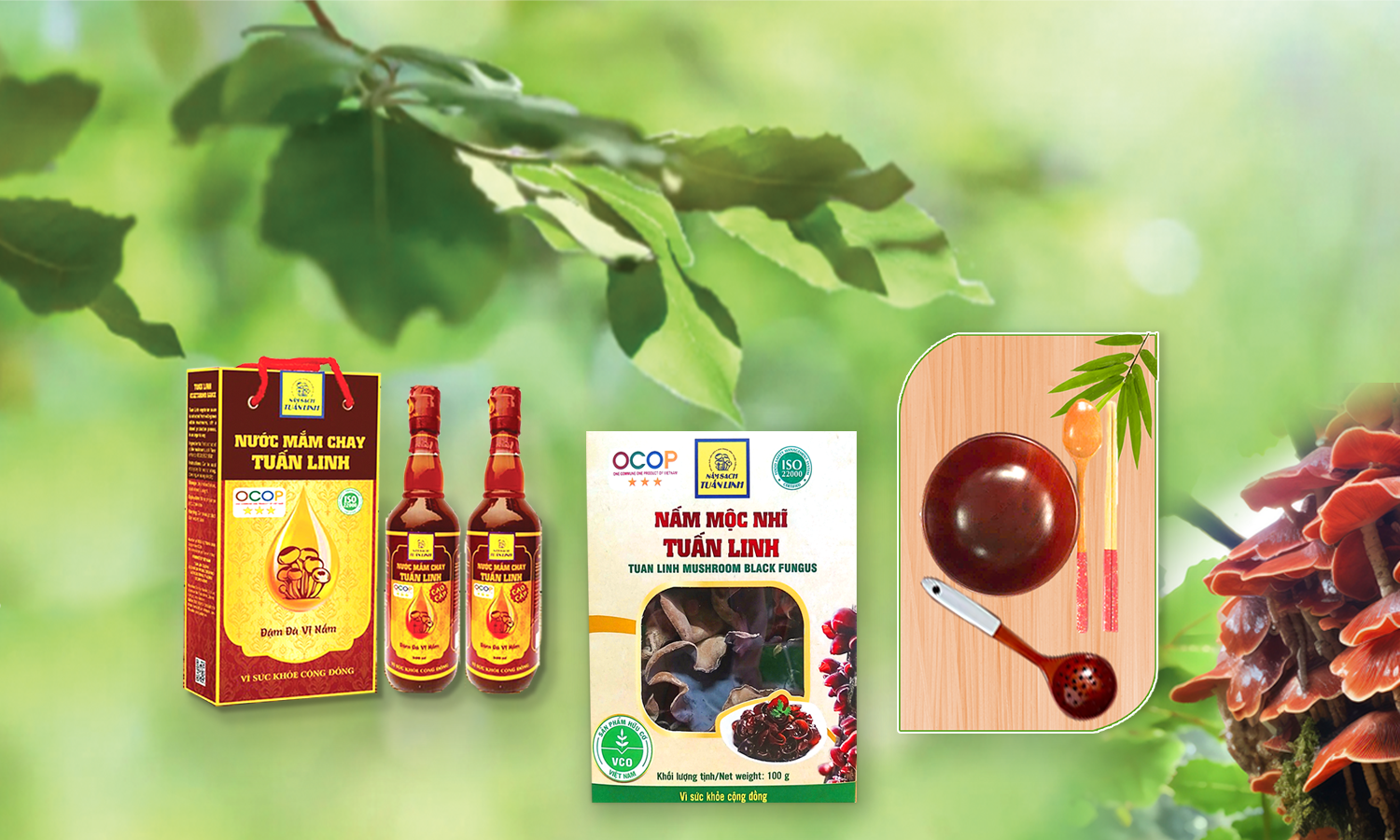 Kỳ vọng OCOP 5 sao