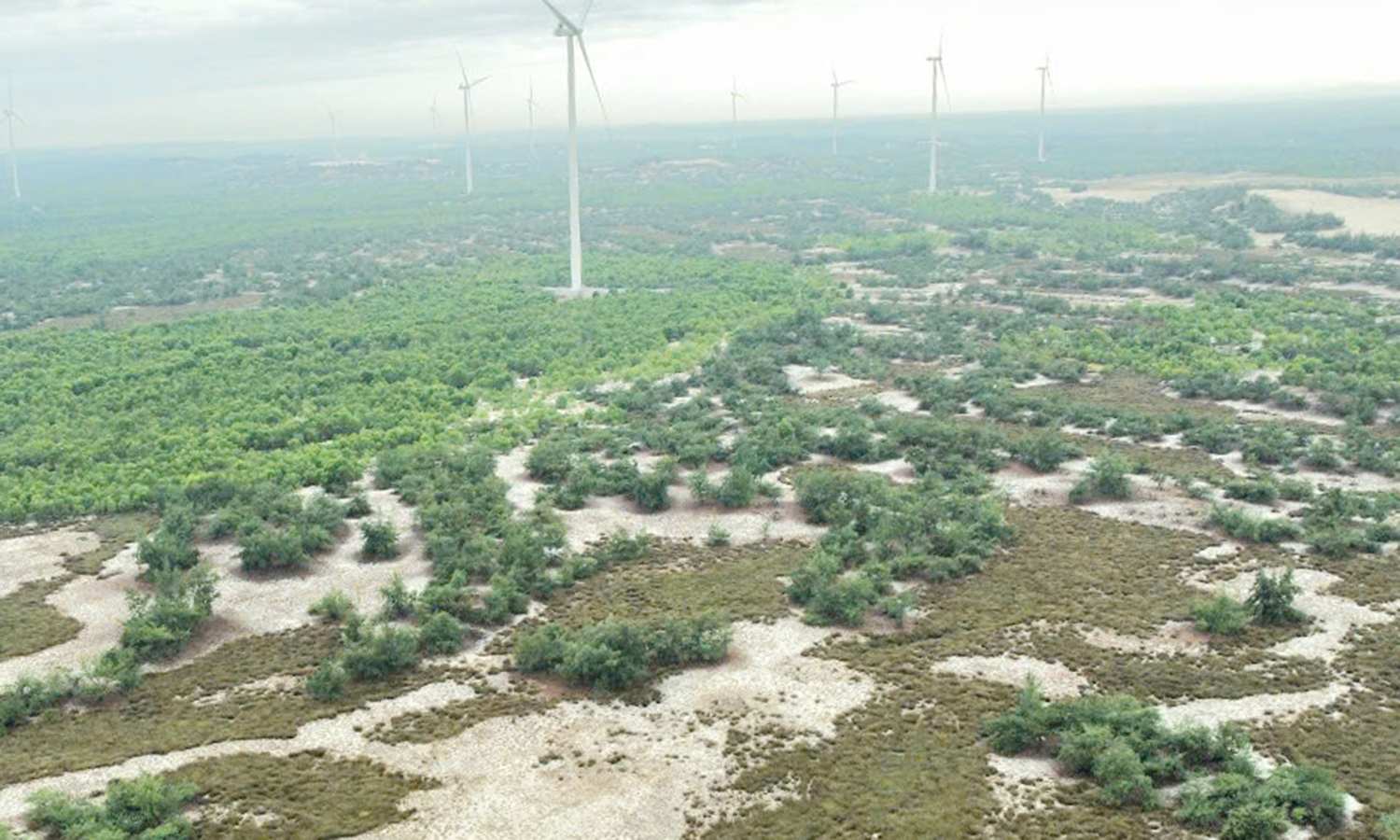 Chấp thuận chủ trương đầu tư khu nghỉ dưỡng sinh thái trên cát 210 tỷ đồng